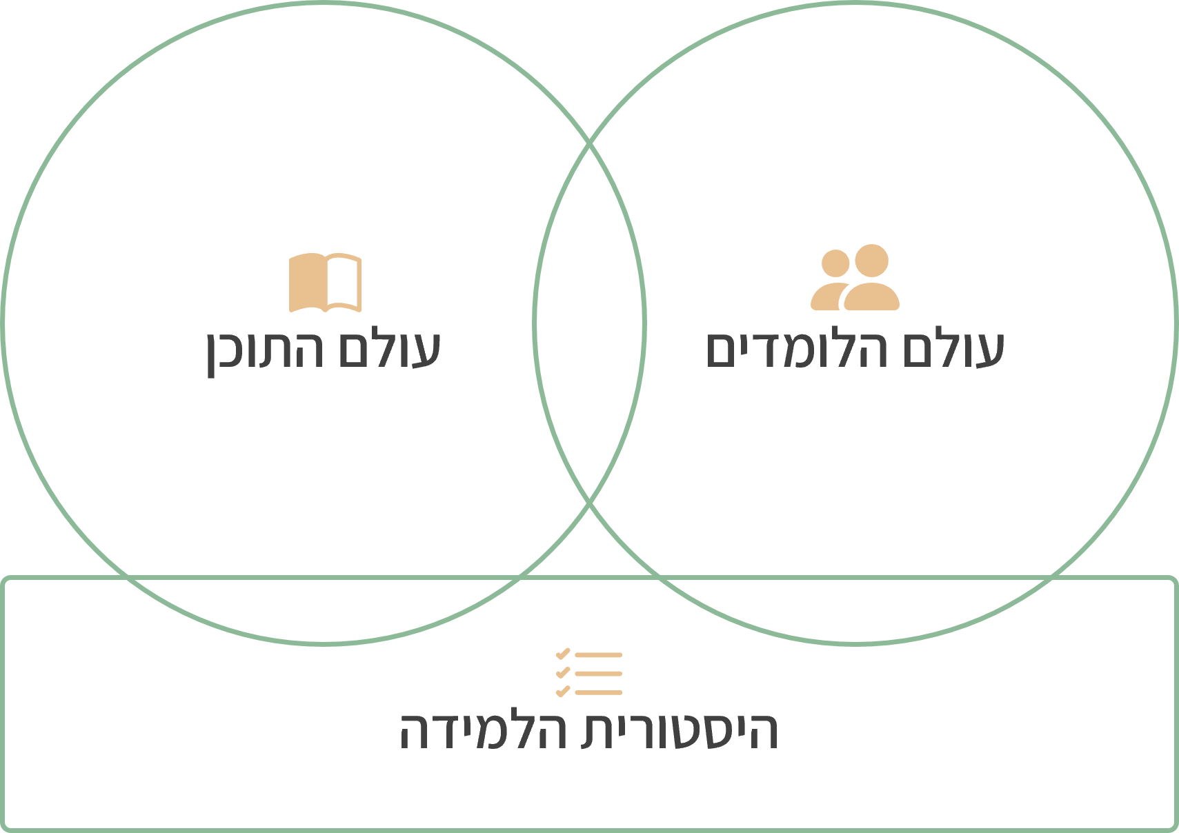 איור של המודל